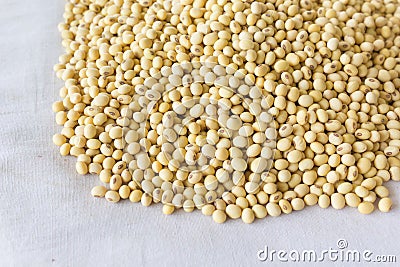 Soy beans Stock Photo