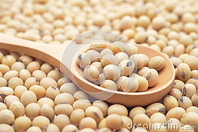 Soy beans Stock Photo