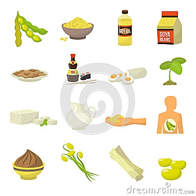 Soy Food Icons Vector Illustration