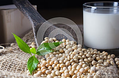 Soy milk Stock Photo