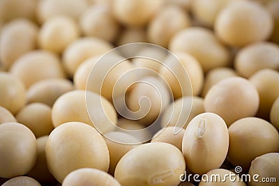 Soya bean Stock Photo