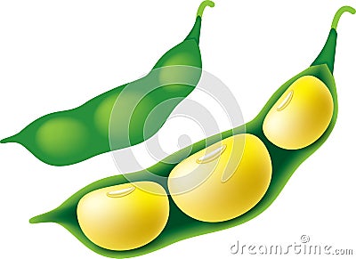 Soya Bean Cartoon Illustration