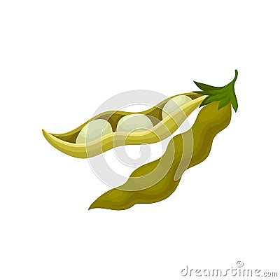 Soya bean pod, healthy vegetarian food vector Illustration on a white background Vector Illustration