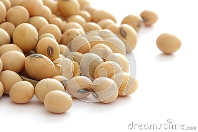 Soya beans Stock Photo