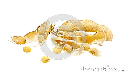 Soybean Stock Photo