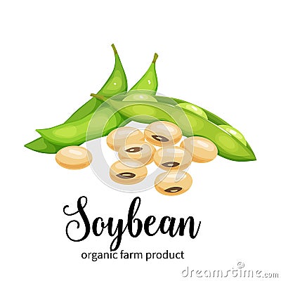 Soybean in cartoon style Vector Illustration