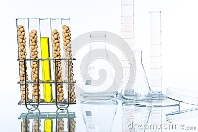 Soybean genetically modified, Plant Cell Stock Photo