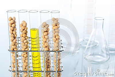 Soybean genetically modified, Plant Cell Stock Photo