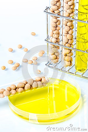 Soybean genetically modified, Plant Cell Stock Photo