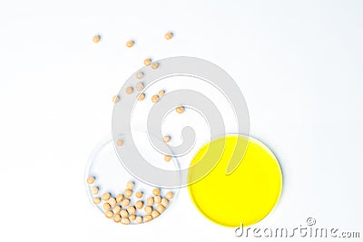 Soybean genetically modified, Plant Cell, Petri Dish Stock Photo