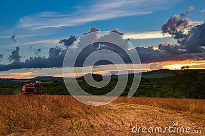 Soybean harvest Stock Photo