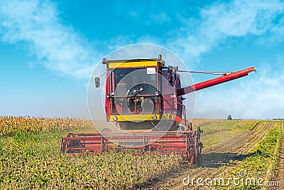 Soybean harvesting Stock Photo