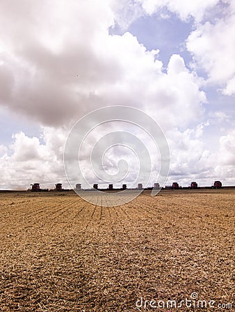 Soybean harvesting Stock Photo