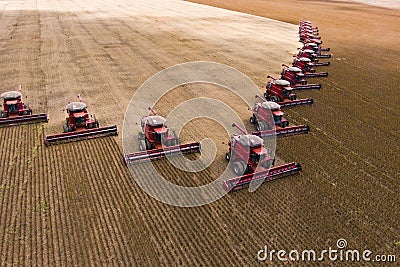 Soybean harvesting Stock Photo