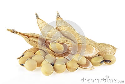 Soybean pods and beans on white background. Dried soya beans Stock Photo