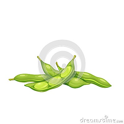 Soybean pods, edamame beans Vector Illustration
