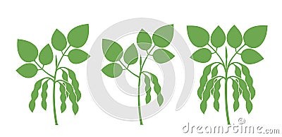 Soybean silhouette. Isolated soybean on white background Vector Illustration