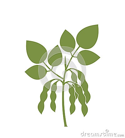 Soybean silhouette. Isolated soybean on white background Vector Illustration