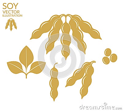 Soybean Vector Illustration