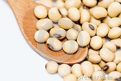 Soybean on wooden spoon Stock Photo