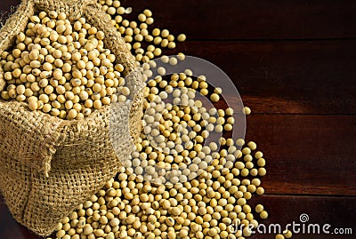 Soybeans in sack bags Stock Photo