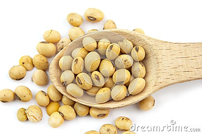 Soybeans Stock Photo