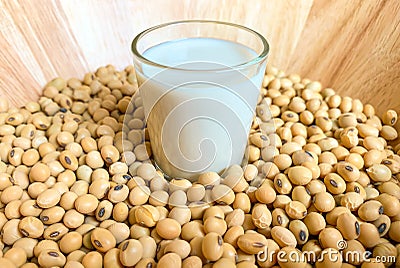 Soymilk glass is placed on a lot of soybean piles Stock Photo