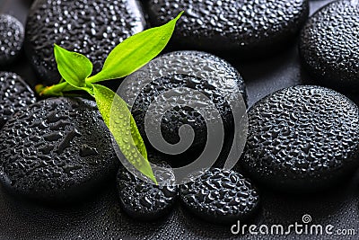 Spa background of green branch bamboo on zen basalt stones with Stock Photo