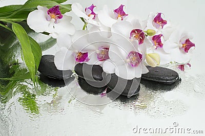 Spa Background - orchids black stones and bamboo on water Stock Photo
