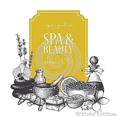 Vintage frame with hand drawn SPA and Beauty illustrations. Card or invitation design. Cosmetics and aromatic ingredients backgrou Cartoon Illustration