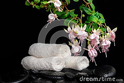 Spa concept of branch pink fuchsia flower, towels and zen basalt Stock Photo