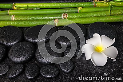 Spa concept of zen basalt stones, white flower plumeria Stock Photo