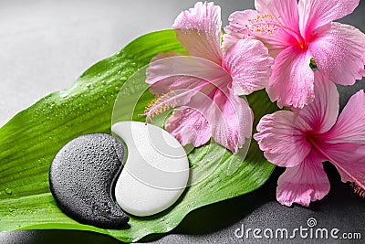 Spa design of pink hibiscus flowers and Yin-Yang of s Stock Photo
