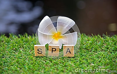 Spa flowers on a green background Stock Photo