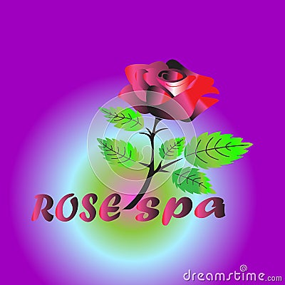 Spa logo with red rose, isolated with purple background Stock Photo