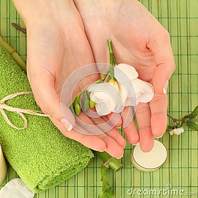 Spa manicure - hands with flower Stock Photo