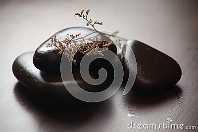 Spa - Natural Alternative Therapy With Massage Stones And Waterlily In wooden table Stock Photo