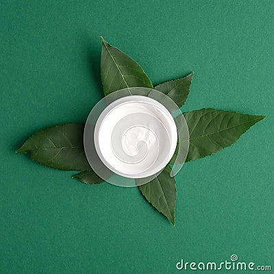 SPA natural organic cream moisturizer and plant leaves on green background. Nature skincare cosmetic s concept Stock Photo