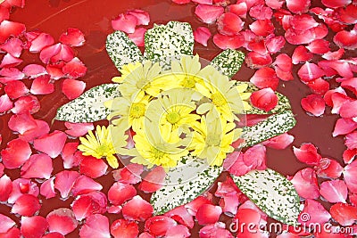 Spa Relaxation Flowers Aroma Therapy Stock Photo