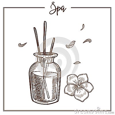 SPA salon aromatherapy essential oil treatment vector sketch icon Vector Illustration