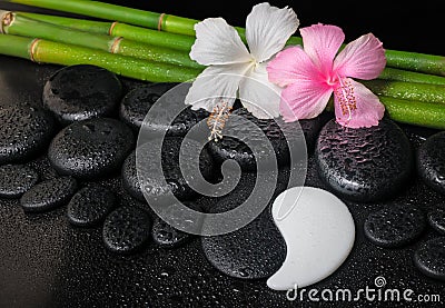 Spa setting of white, pink hibiscus flowers, symbol Yin Yang an Stock Photo