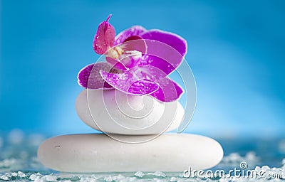 Spa still life with pink orchid and white zen stone in a serenity pool Stock Photo