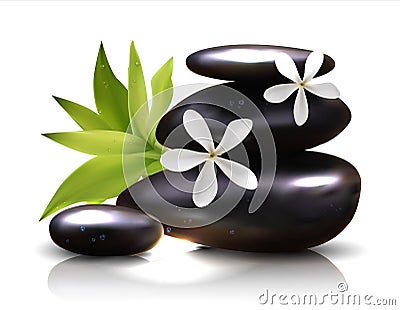 Spa stones with frangipani flower vector Vector Illustration