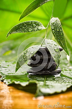 Spa treatment. Stock Photo