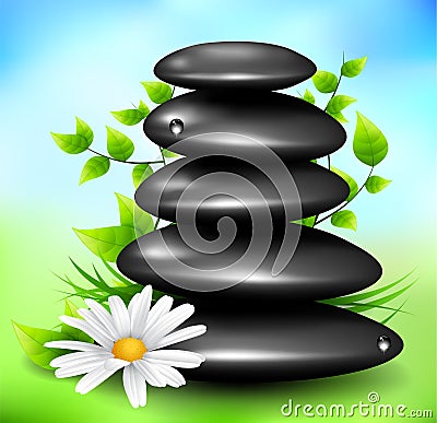 Spa stones Vector Illustration