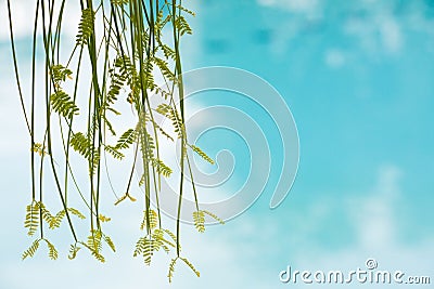 Spa and wellness concept Stock Photo