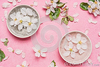 Spa or wellness pink background with blossom and water bowl with white flowers, top view.Spring blossom background Stock Photo