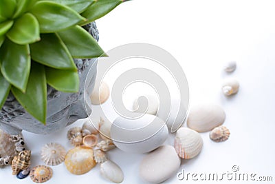 Spa and wellness still life objects Stock Photo