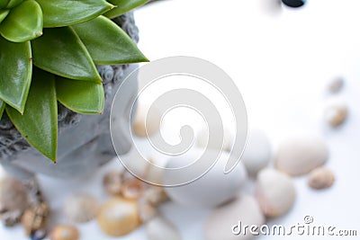 Spa and wellness still life objects Stock Photo