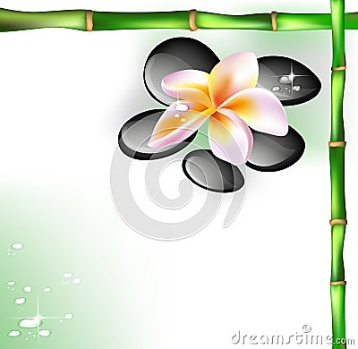 Spa stones and frangipani flower Stock Photo
